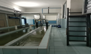 AC PLANT ROOMS